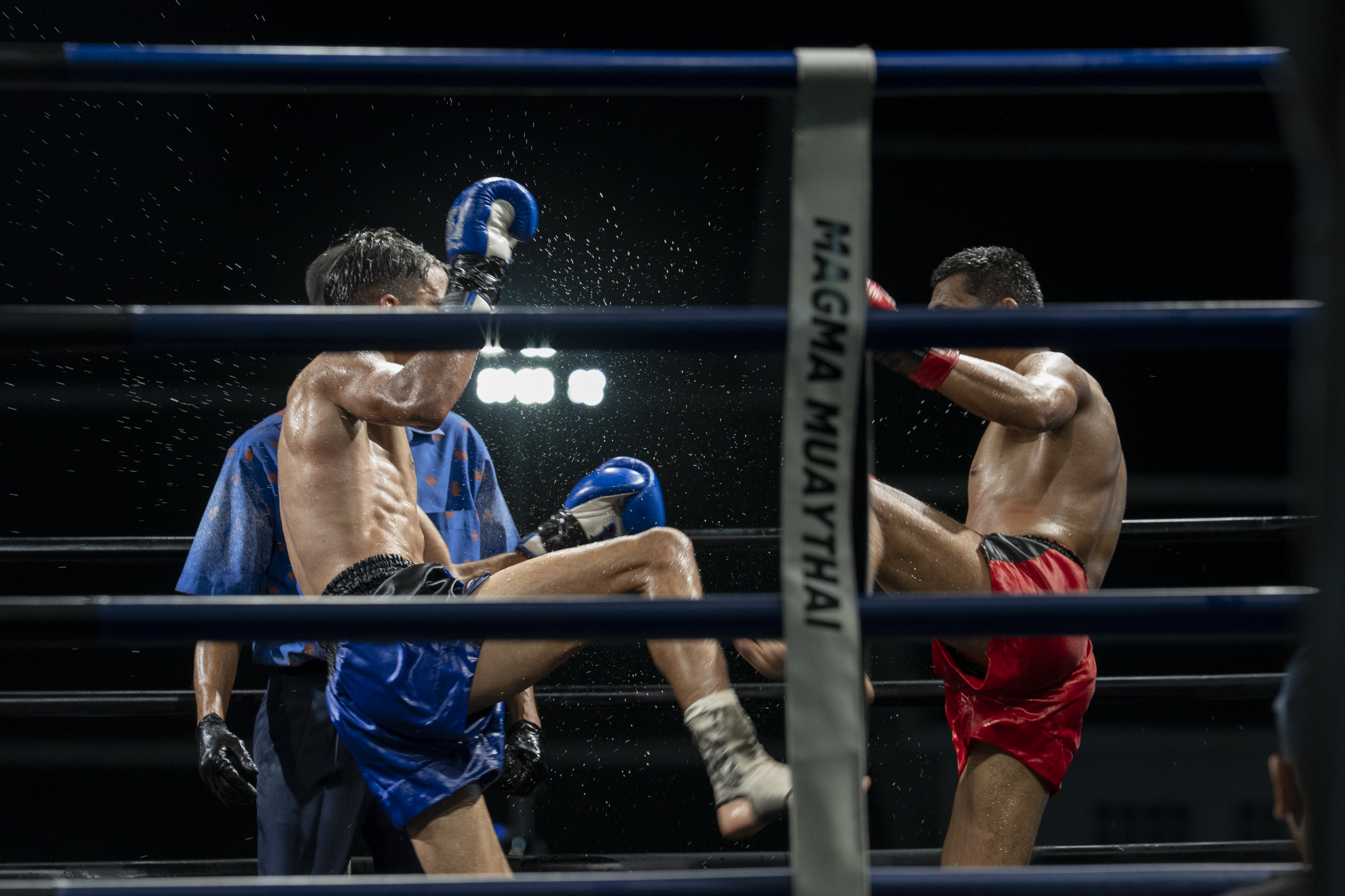 Pugile sul ring